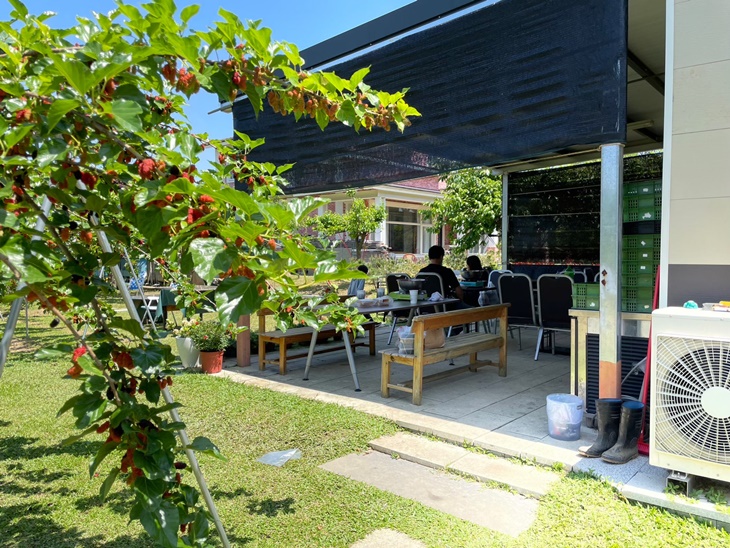 桃園-月眉85莊園