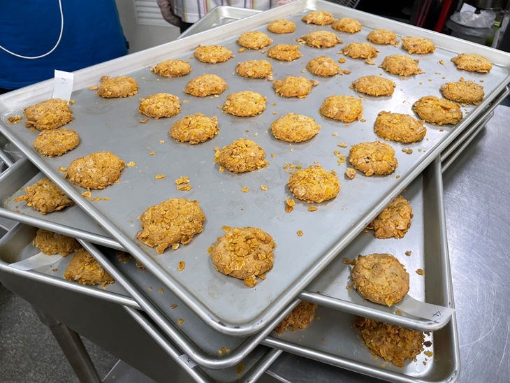 桃園-月眉85莊園