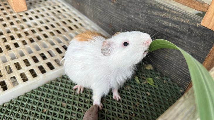 高雄-農春鎮生態教育農場