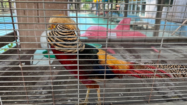 高雄-農春鎮生態教育農場