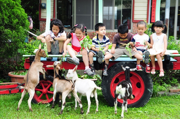 高雄-農春鎮生態教育農場