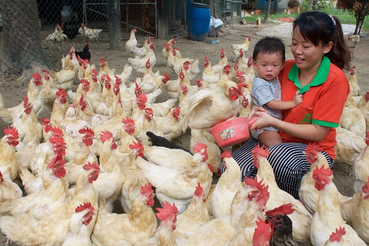 高雄-農春鎮生態教育農場