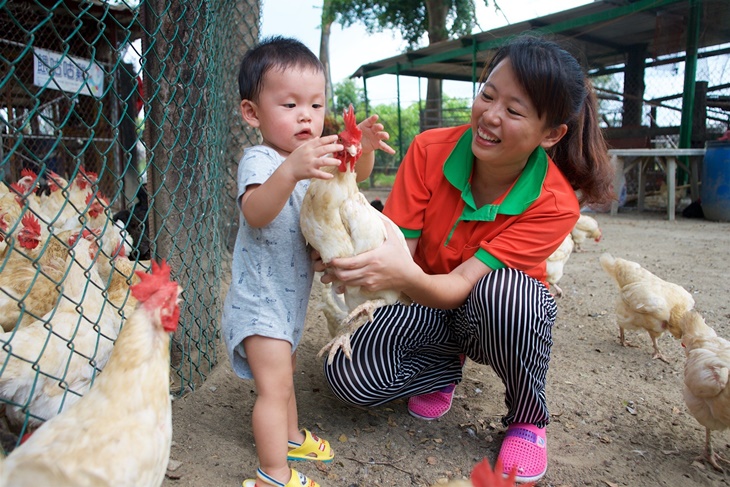 高雄-農春鎮生態教育農場