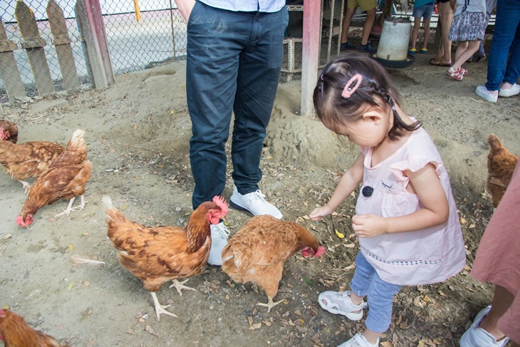 高雄-農春鎮生態教育農場
