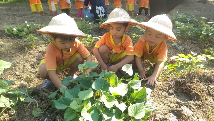 高雄-農春鎮生態教育農場