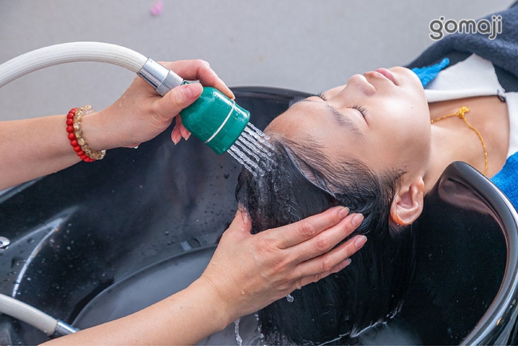 SIG負離子淨化SPA洗