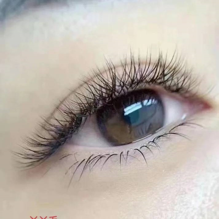 人氣精選6D浪漫女神款350根