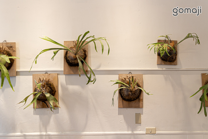 臺灣麵.雞飯(鳳山青年店)