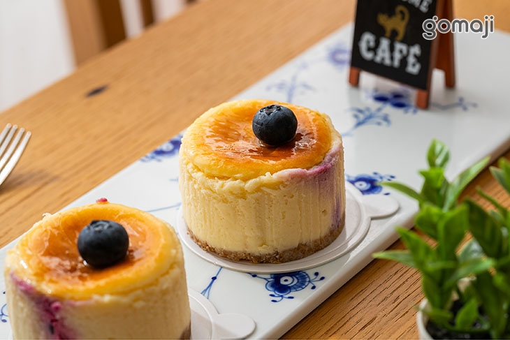 藍莓乳酪起士蛋糕