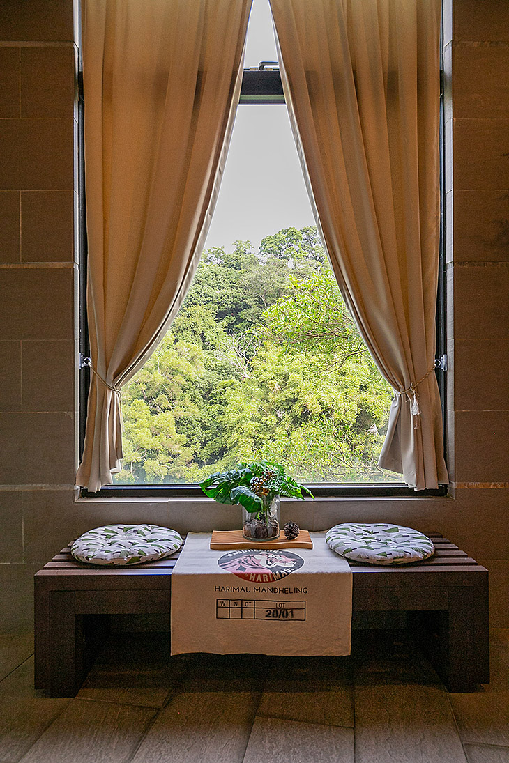 雲朵森林x泳池咖啡