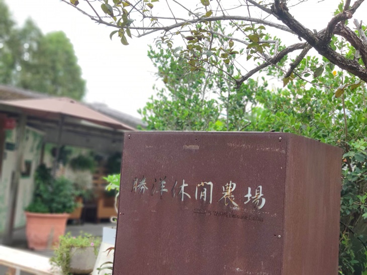 蝦兵蟹將大作戰