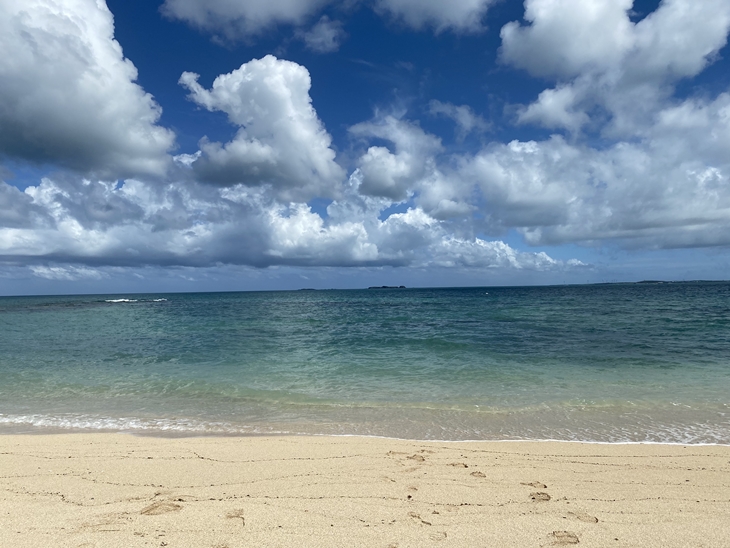 水上活動暢玩 龍蝦島抓龍蝦體驗一日遊