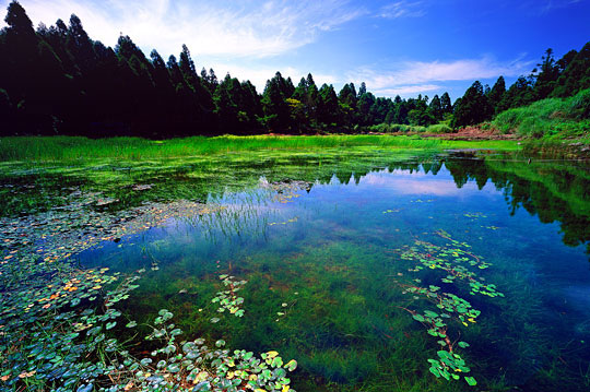 陽明山