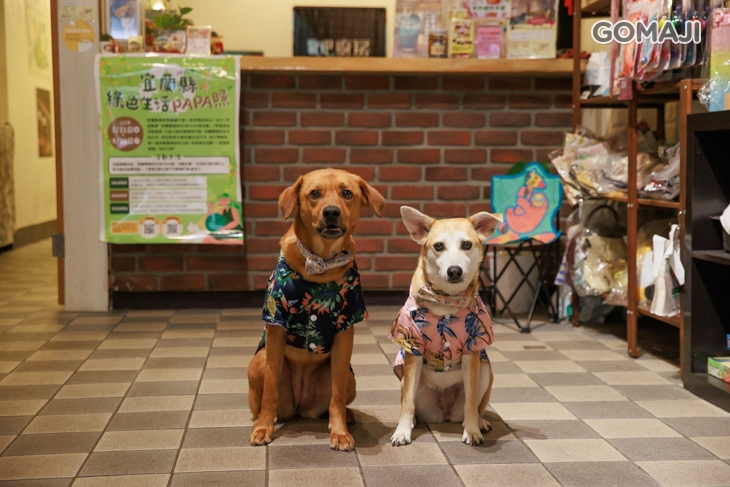 OBar 歐吧廚房 義式料理(羅東店)