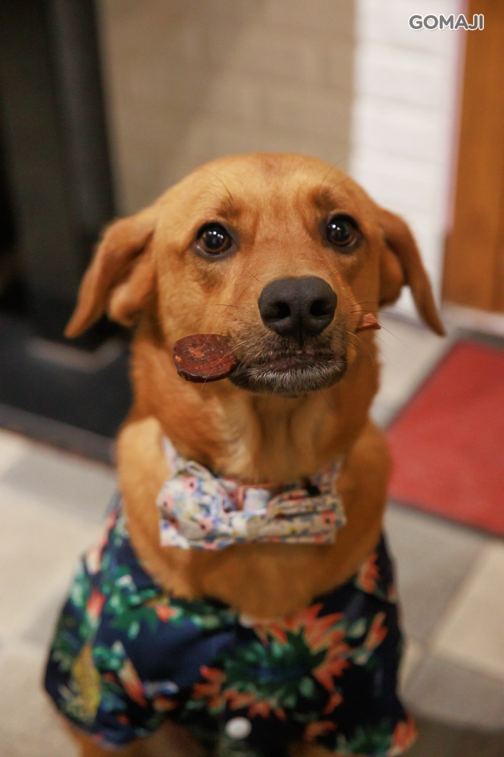 OBar 歐吧廚房 義式料理(羅東店)