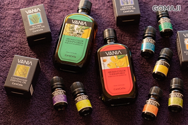 Regina 芮吉娜彩藝殿堂