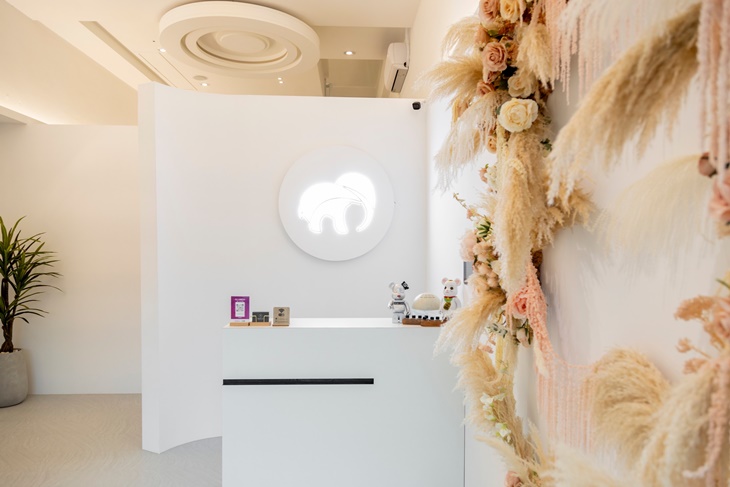 頭頭象-頭療玩家