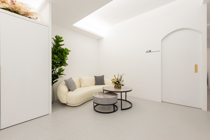 頭頭象-頭療玩家