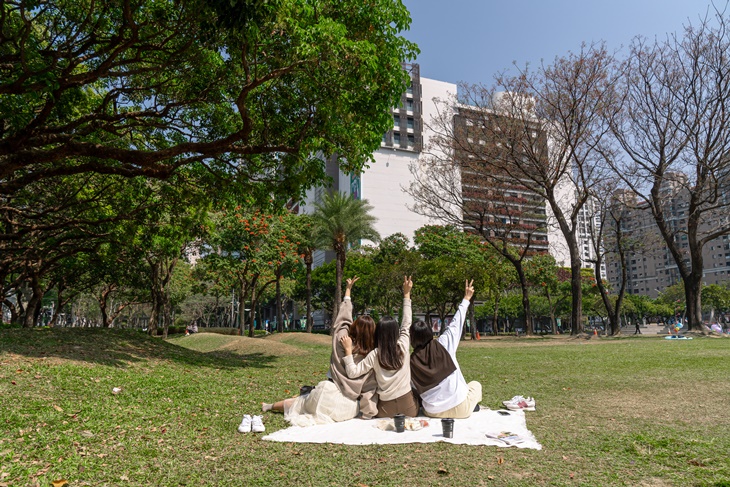 草悟道