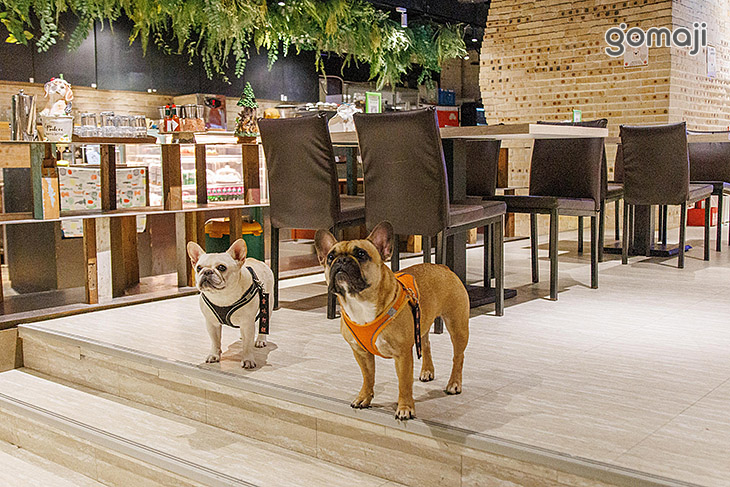 稻邸 D. House 築空間 親子寵物友善餐廳