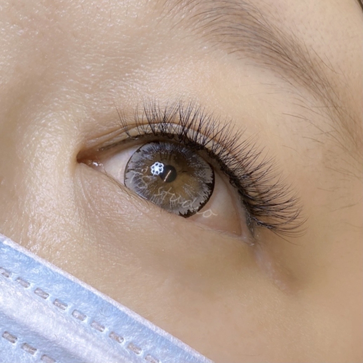 濃密深邃感6D接到滿睫毛嫁接