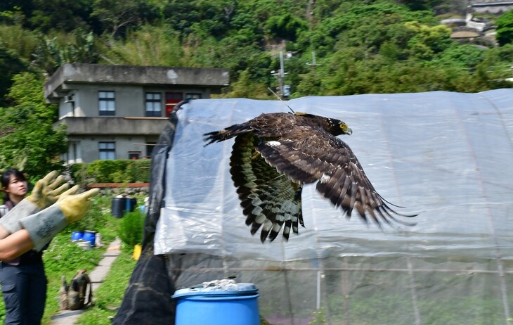 社團法人台灣猛禽研究會