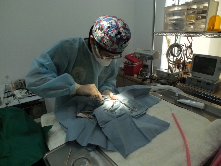 【您的捐款是讓猛禽再次展翅高飛的重要力量】