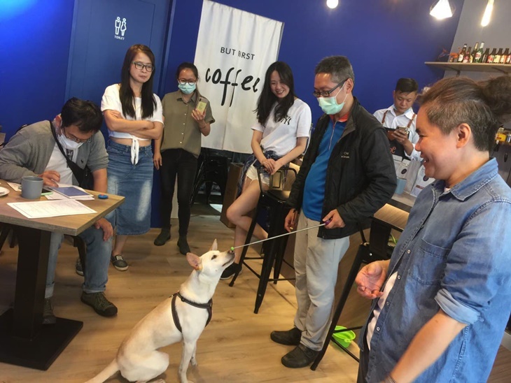 弱勢失業者學伴犬職訓計畫