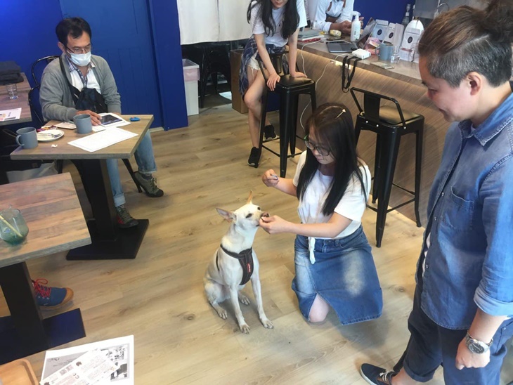 弱勢失業者學伴犬職訓計畫