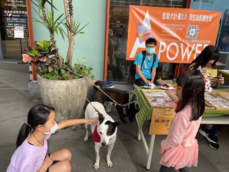 弱勢失業者學伴犬職訓計畫