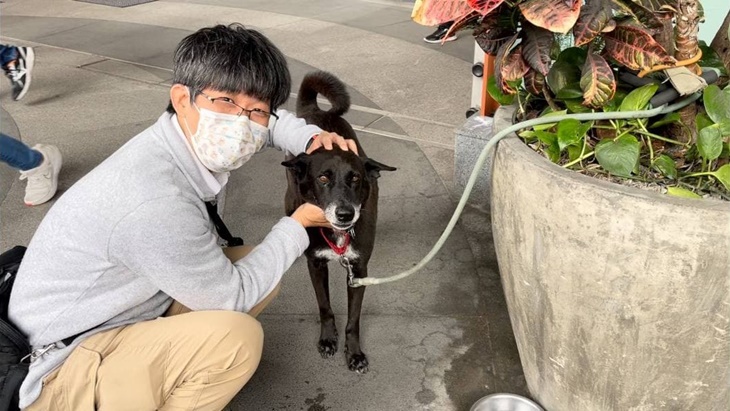弱勢失業者學伴犬職訓計畫