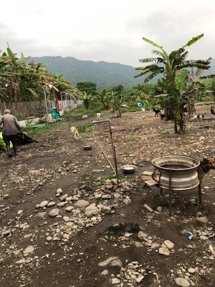 花蓮縣流浪動物救助協會(杜媽媽狗園)