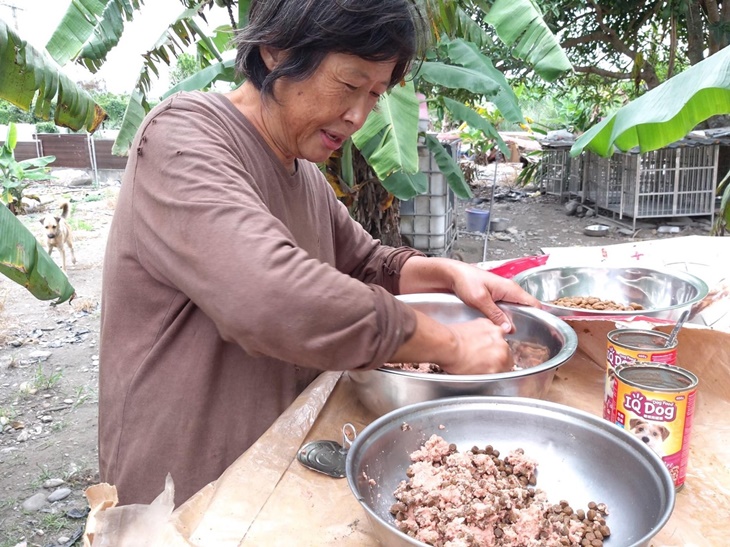 花蓮縣流浪動物救助協會(杜媽媽狗園)
