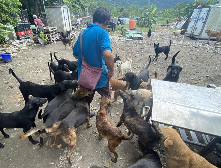 花蓮縣流浪動物救助協會(杜媽媽狗園)