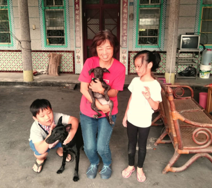 潮州簡愛流浪狗園