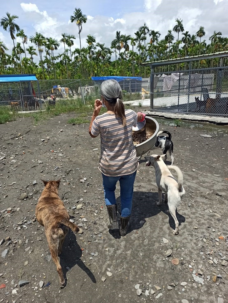 潮州簡愛流浪狗園