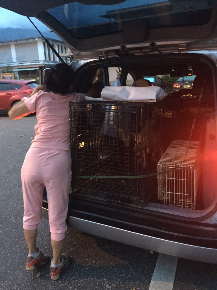 花蓮縣毛孩TNVR協會