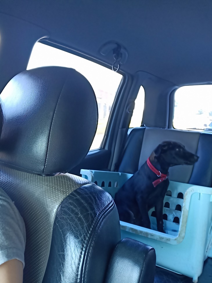 花蓮縣毛孩TNVR協會