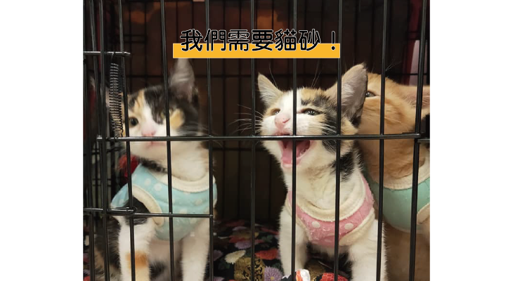 社團法人高雄市幸福狗尾巴友善動物協會