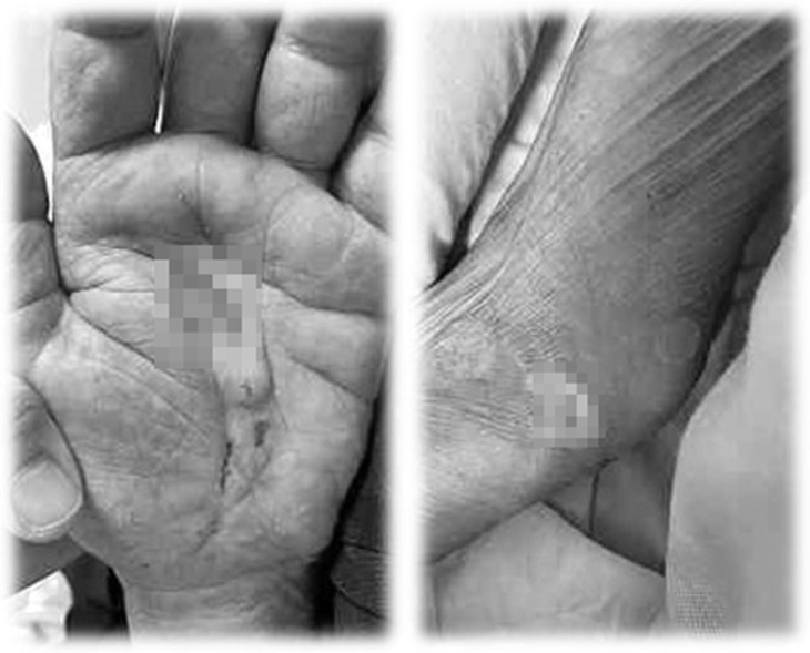 中華有樂銀髮健康促進協會