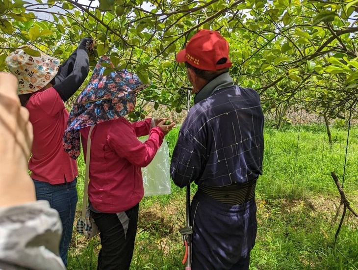 社團法人嘉義縣紫藤婦幼關懷協會