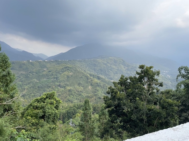 南投縣鹿谷鄉彰雅社區發展協會