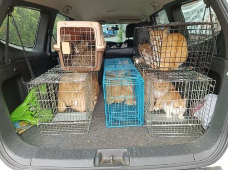 花蓮縣毛孩TNVR協會