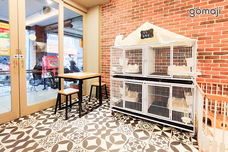 【Meet兔】兔兔寵物友善咖啡X兔兔旅館