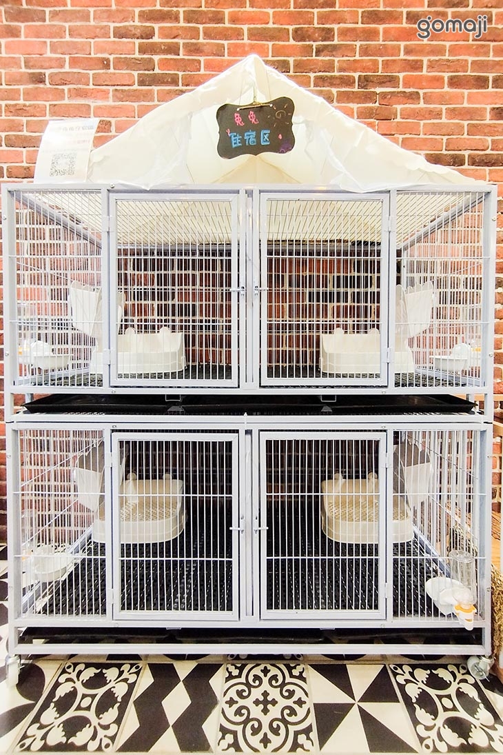 【Meet兔】兔兔寵物友善咖啡X兔兔旅館