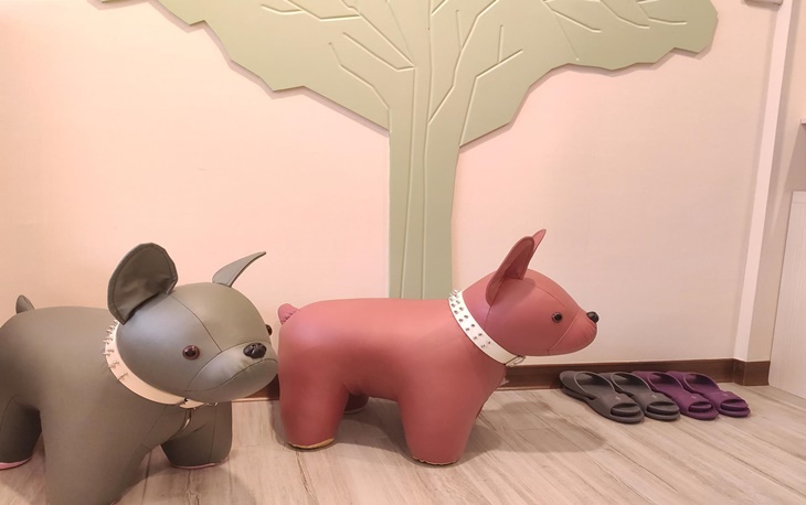 動物派對