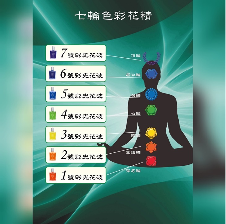 七輪色彩花精
