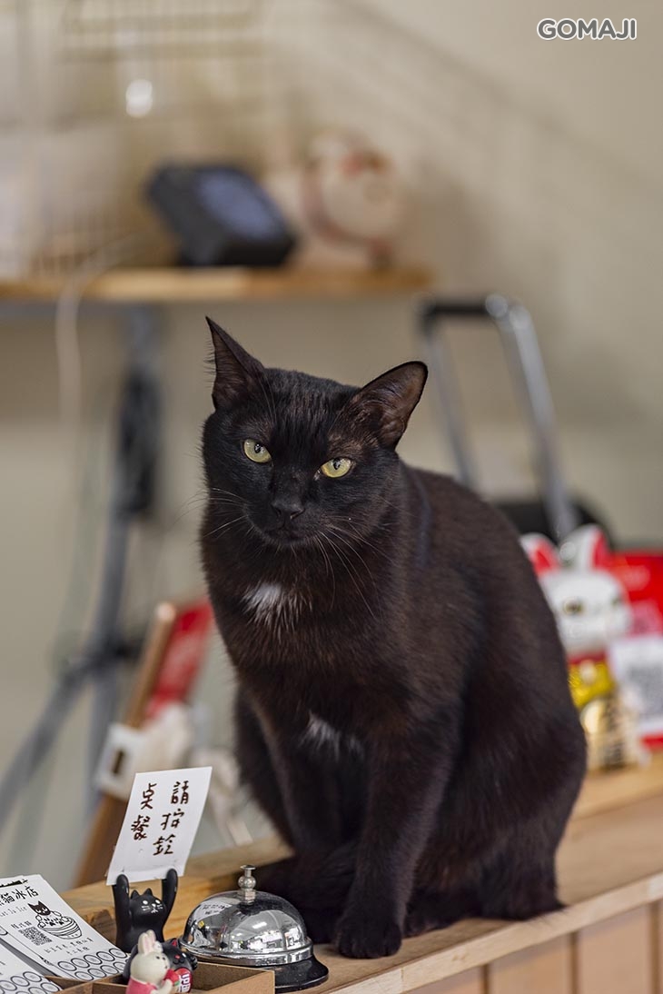 黑貓冰店 x花米林