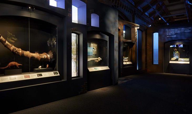 怪獸與大自然的奇幻世界