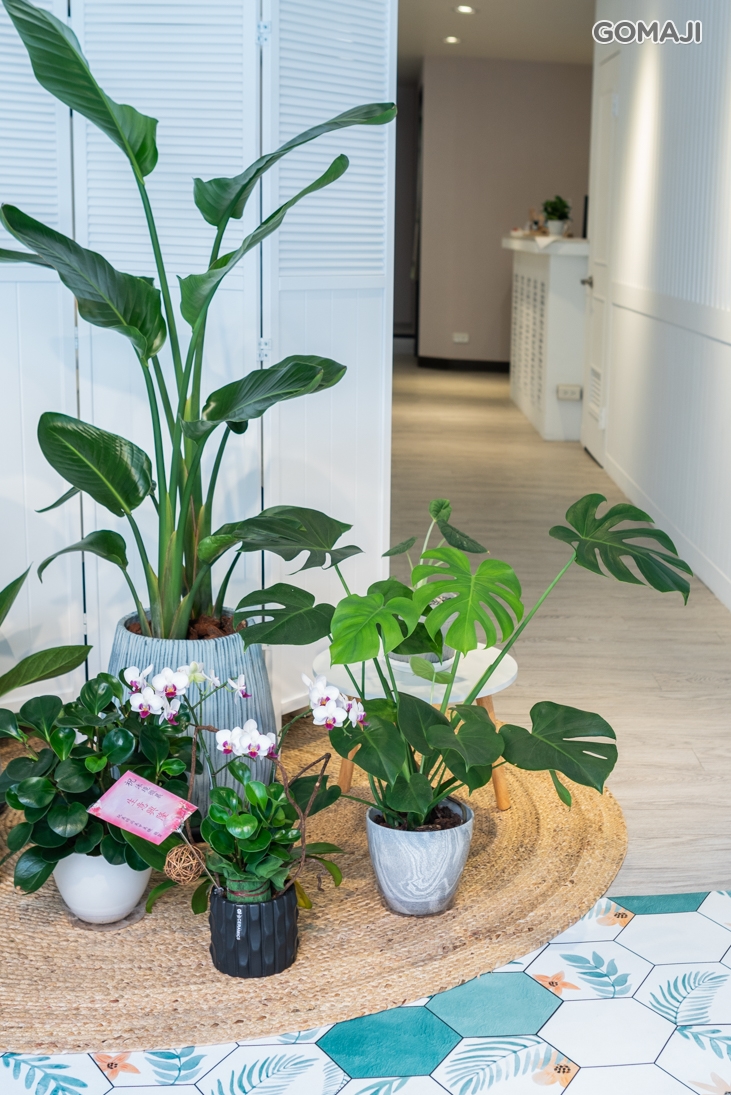 沐境微晨Spa & Massage